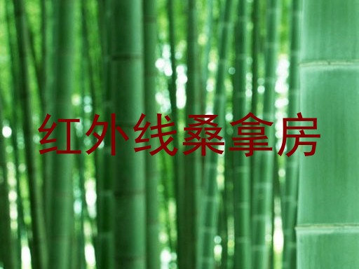 红外线桑拿房