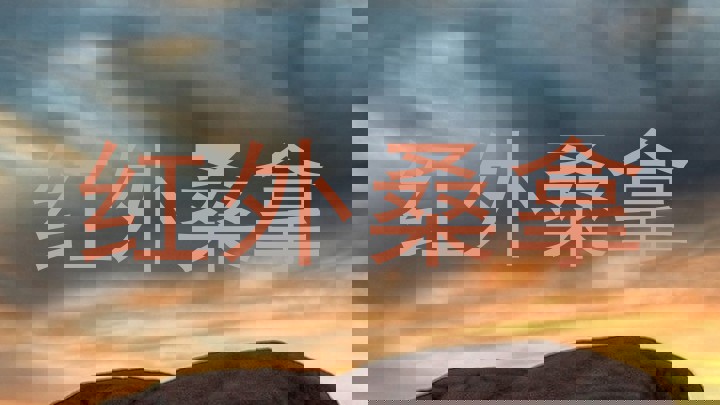 红外桑拿