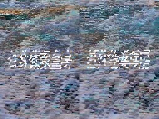 红外线桑拿房