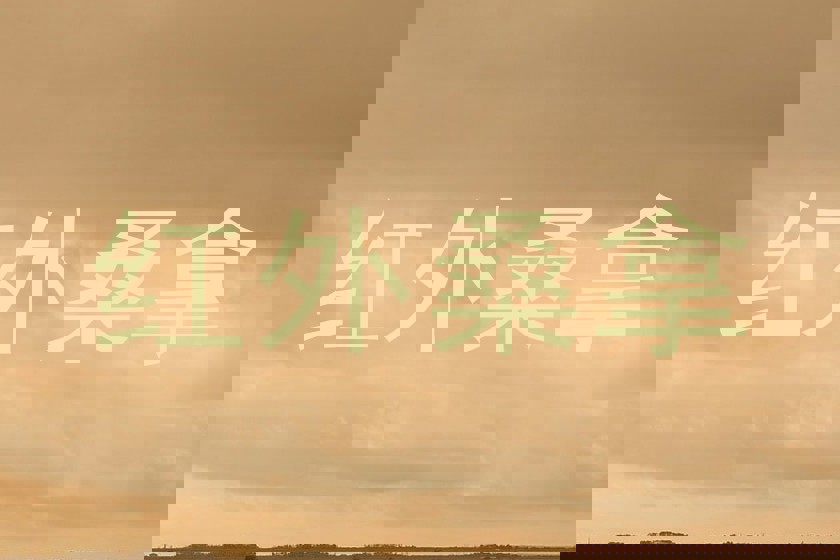 红外桑拿