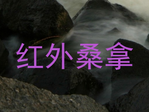 红外桑拿