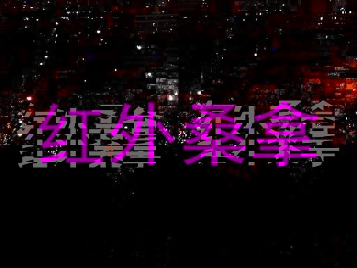 红外桑拿