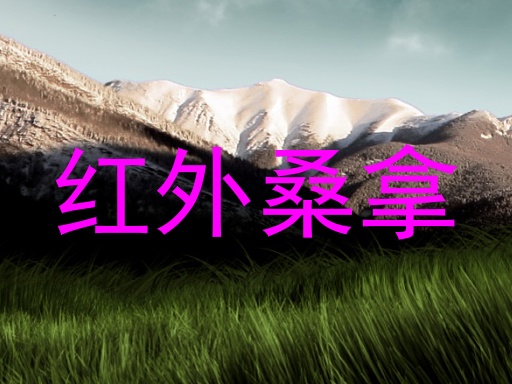 红外桑拿