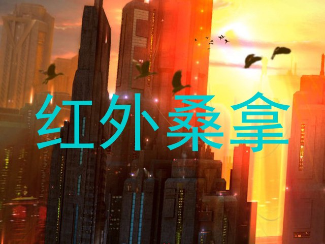 红外桑拿