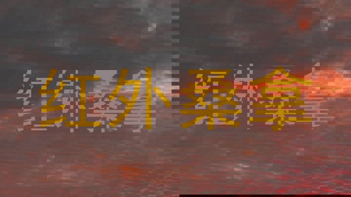 红外桑拿