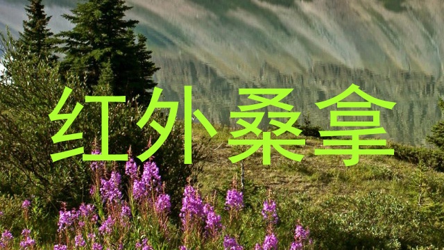 红外桑拿
