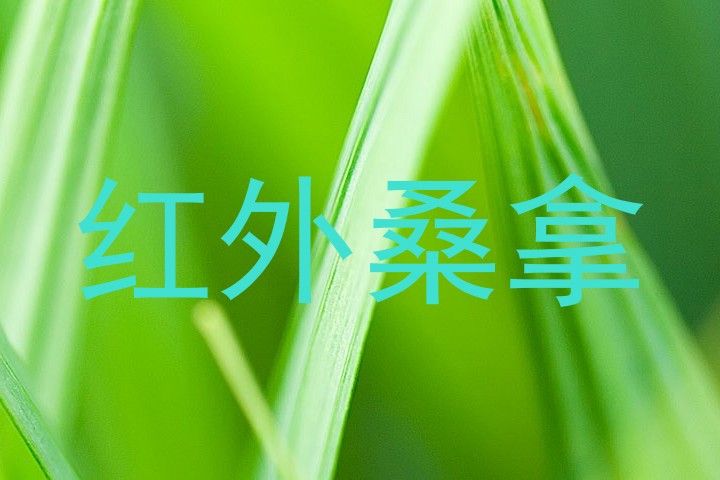红外桑拿