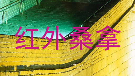 红外桑拿
