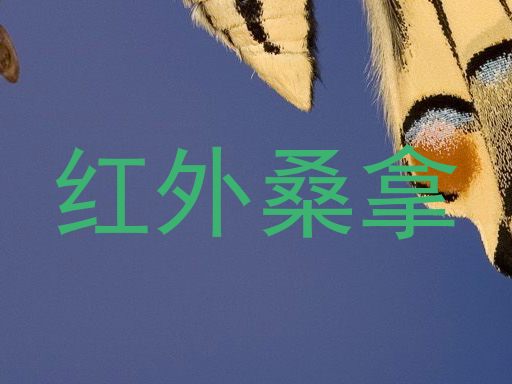红外桑拿