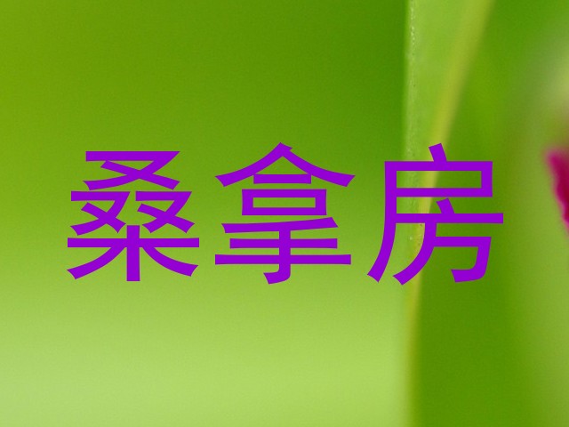 桑拿房