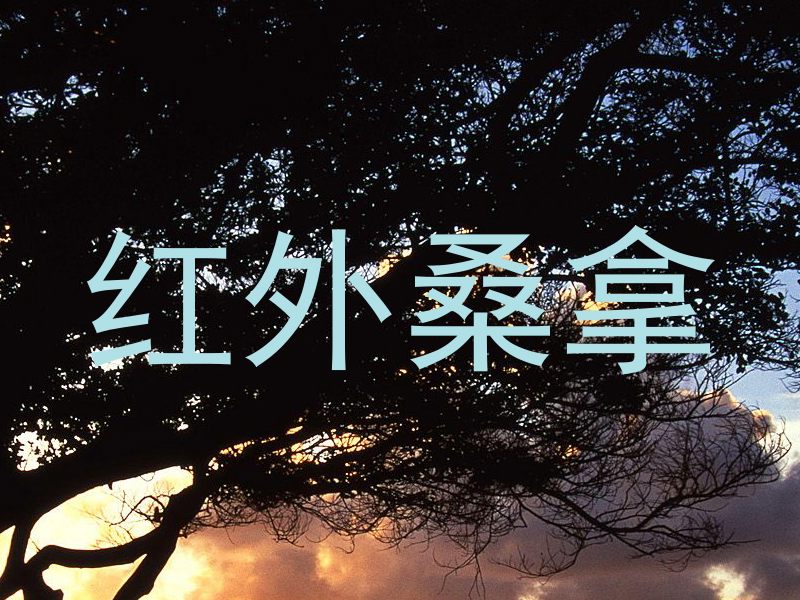 红外桑拿