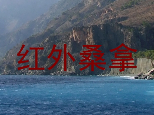红外桑拿