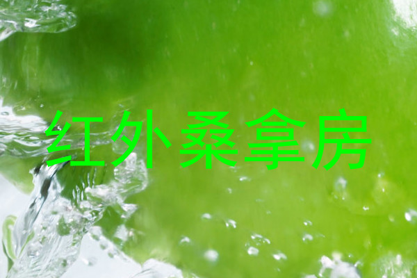 红外桑拿房
