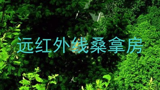远红外线桑拿房