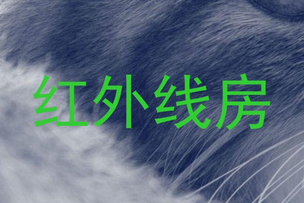 红外线房