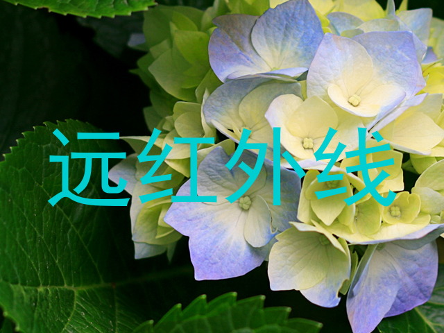 远红外线