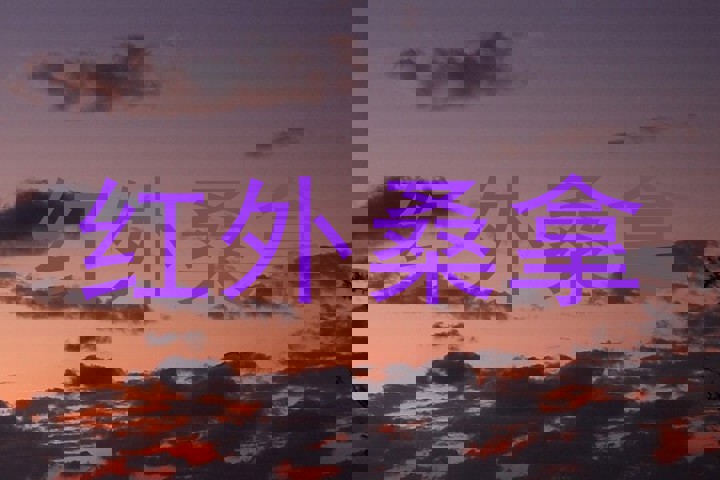 红外桑拿