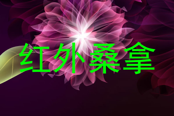 红外桑拿