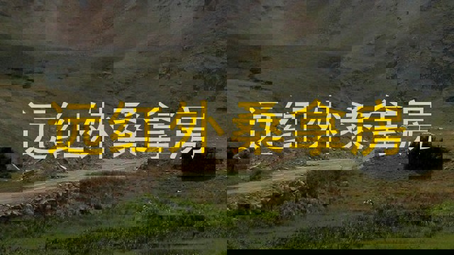 远红外桑拿房