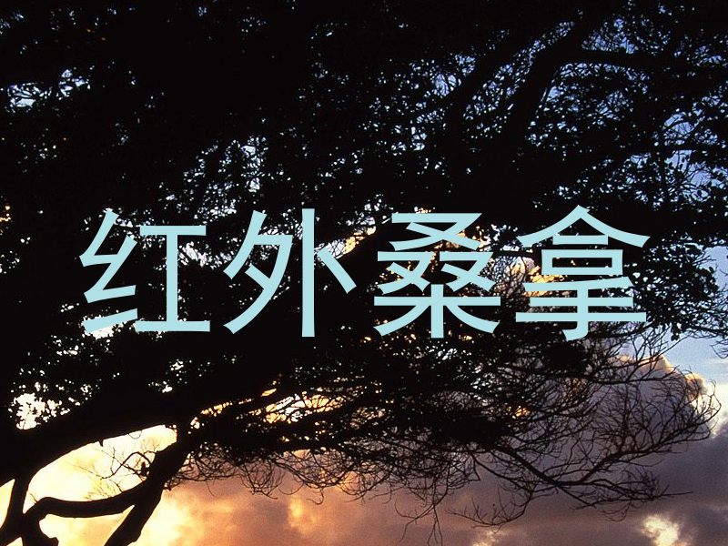 红外桑拿