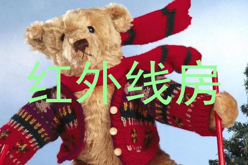 红外线房