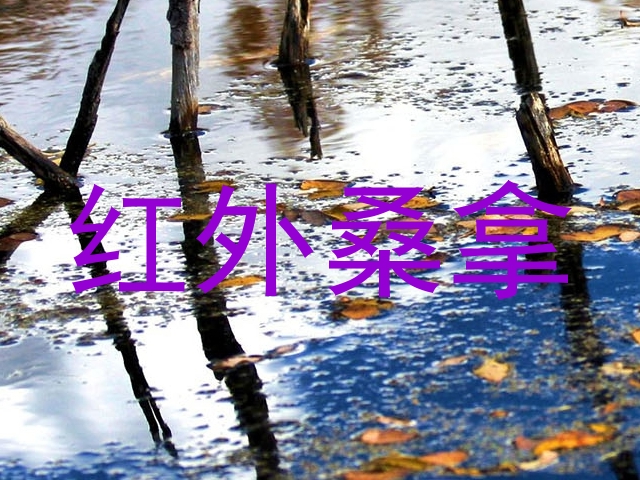 红外桑拿