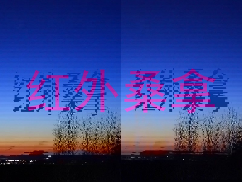 红外桑拿