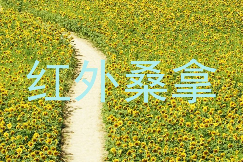 红外桑拿