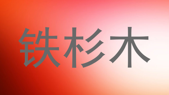 铁杉木