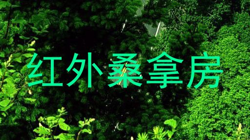 红外桑拿房