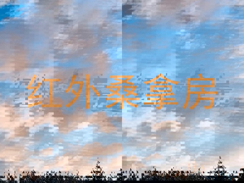 红外桑拿房