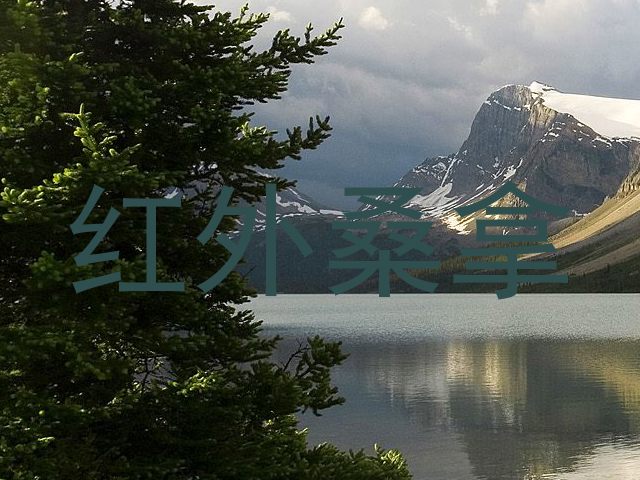 红外桑拿