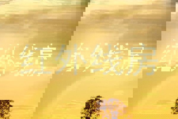 红外线房