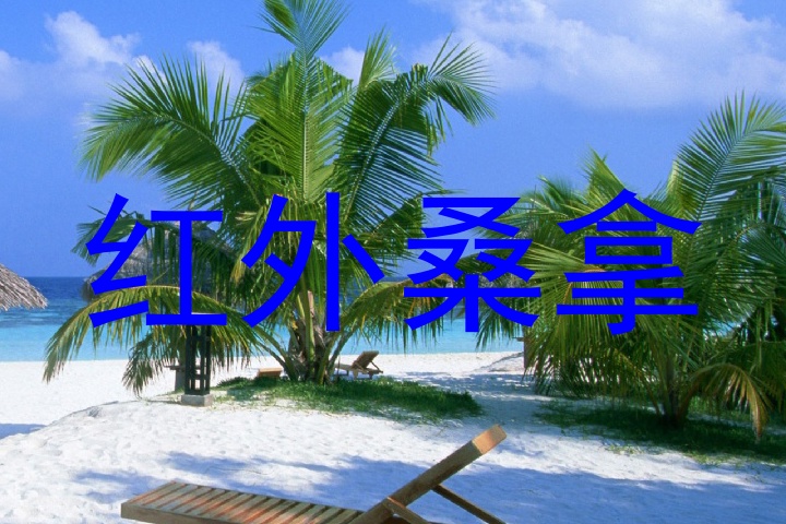 红外桑拿