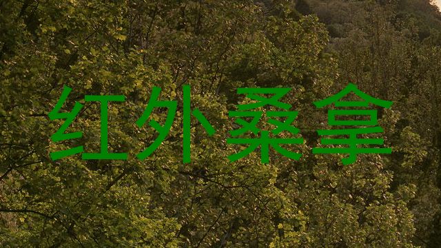红外桑拿