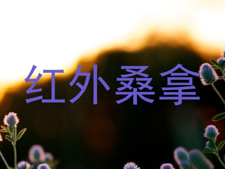 红外桑拿