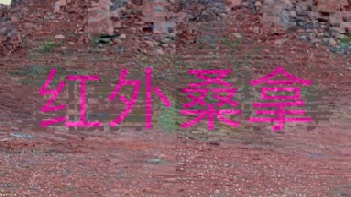 红外桑拿
