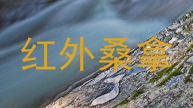 红外桑拿