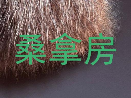 桑拿房