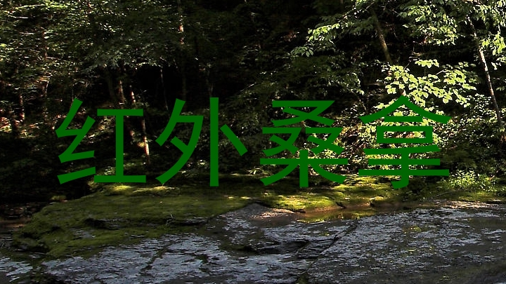 红外桑拿
