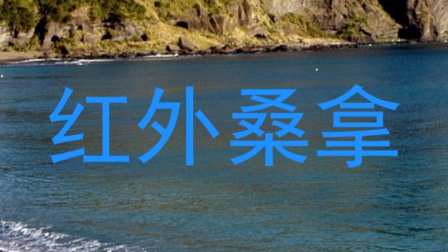 红外桑拿
