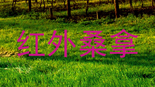 红外桑拿