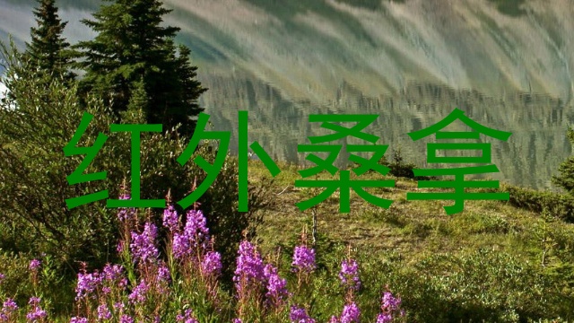 红外桑拿