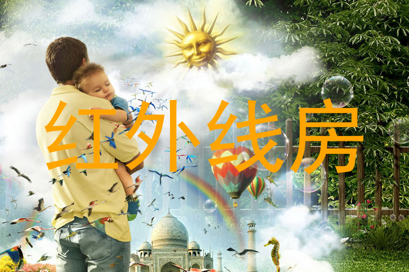 红外线房