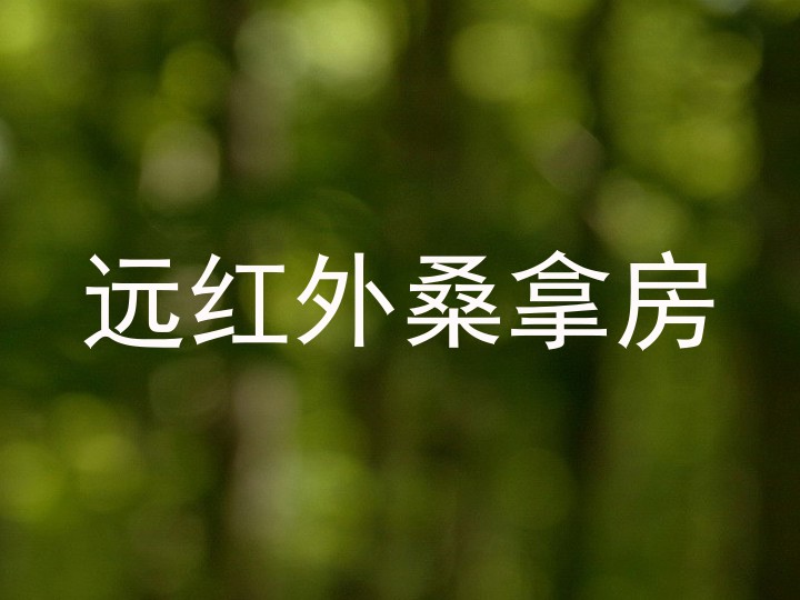 远红外桑拿房