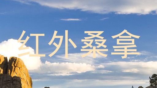 红外桑拿