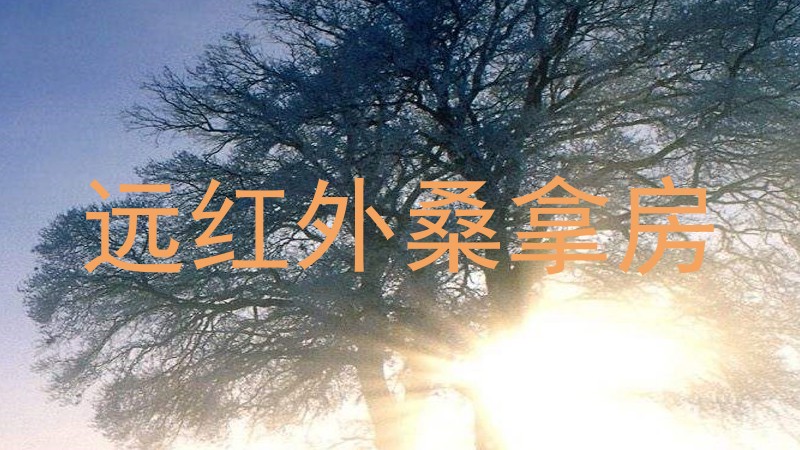 远红外桑拿房