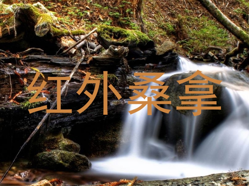 红外桑拿