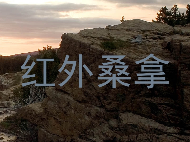 红外桑拿