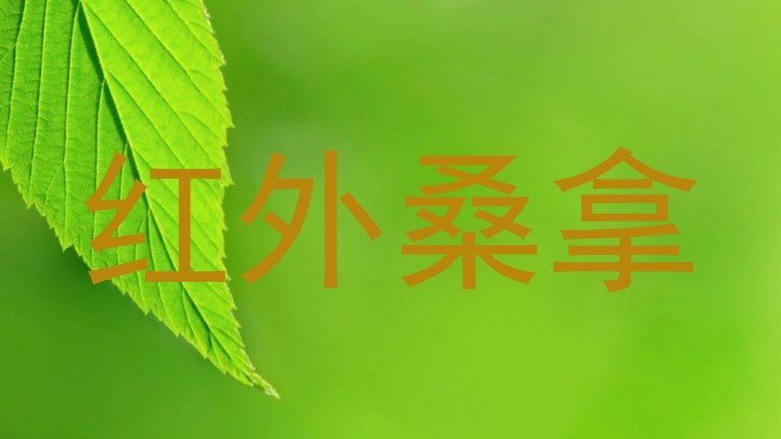红外桑拿